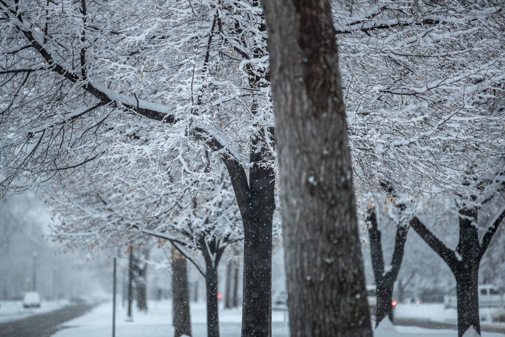Snow